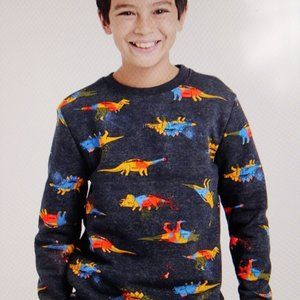 Boys Crew Fleece Pullover - Cat & Jack Size XXL 18